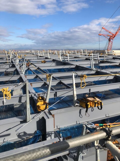 現場パトロール