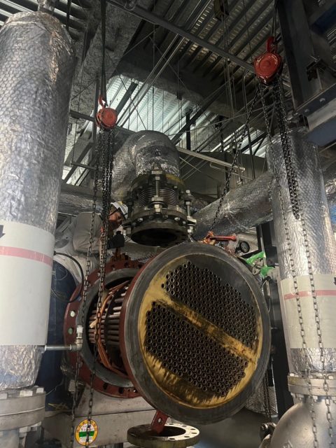 毎年恒例のミッドランド