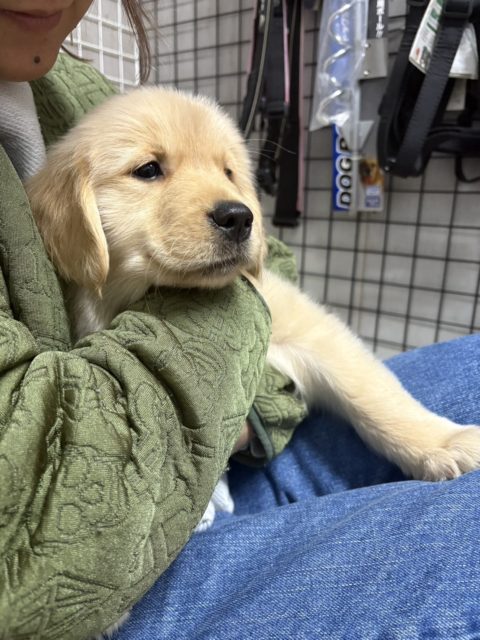 新しい家族‼️