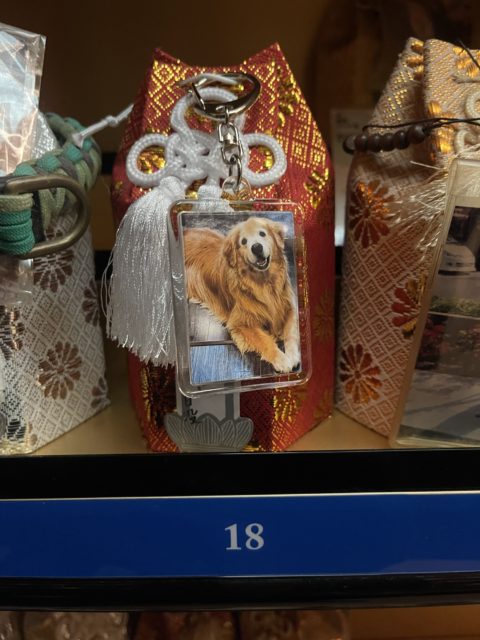 亡き愛犬birthday