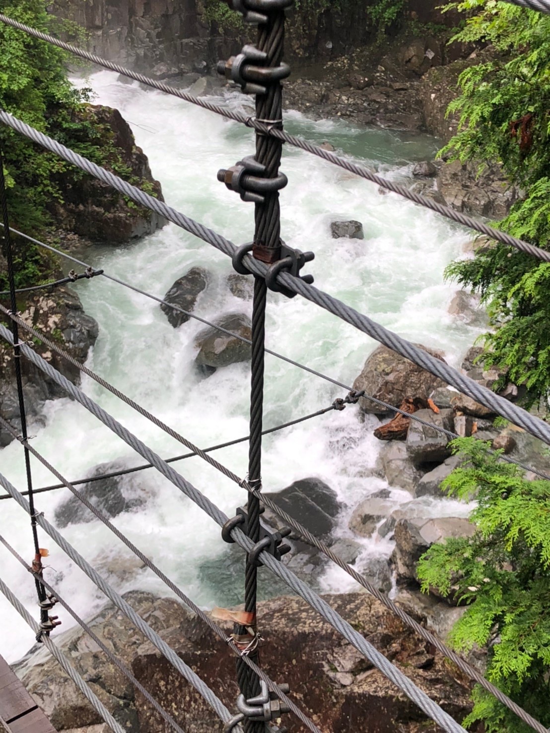 毎年恒例のキャンプ🏕