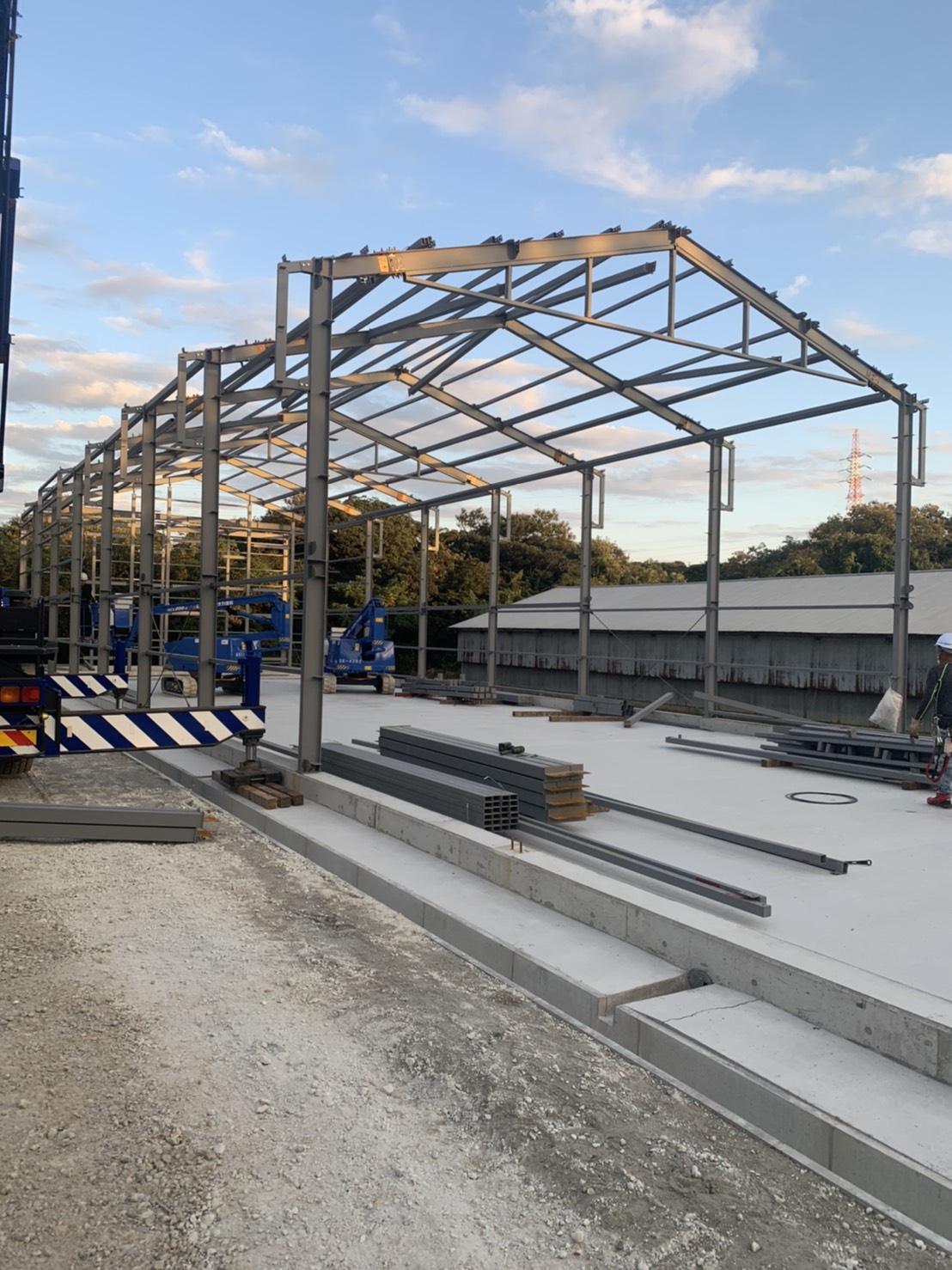 デイリーファーム🐓