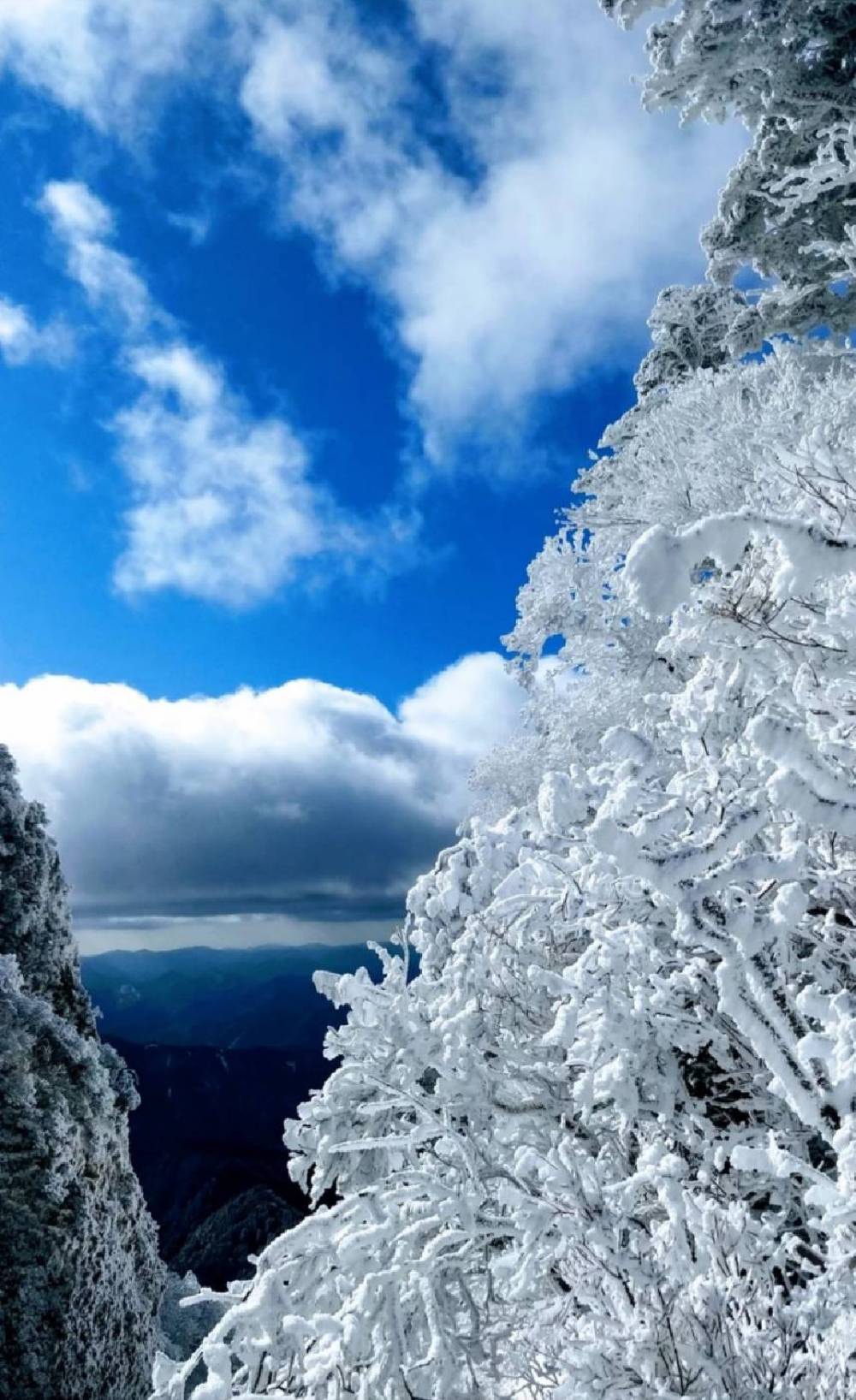 登山に行けてない💦