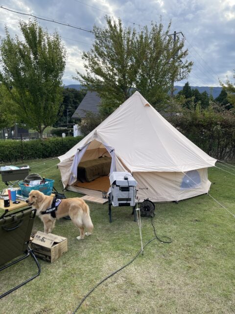 またまた、やまてらすへ