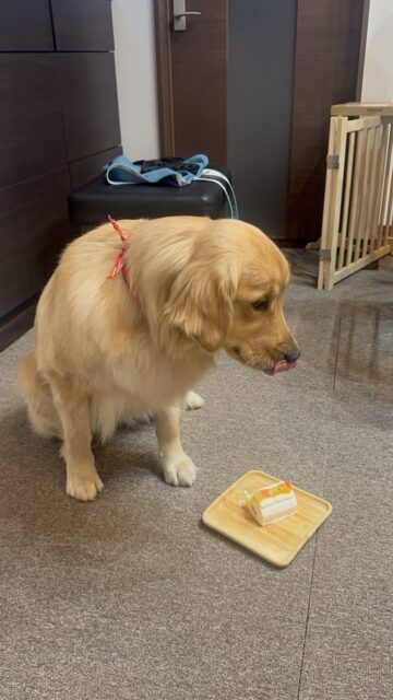 1歳の誕生日🎂