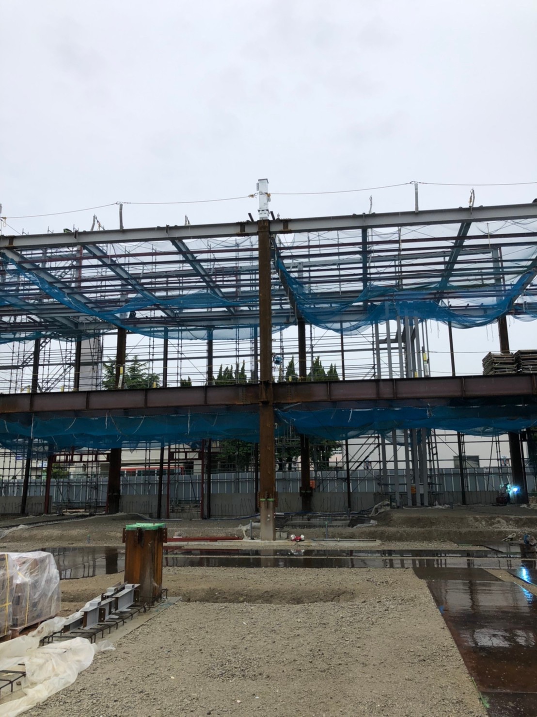 エディオン高針