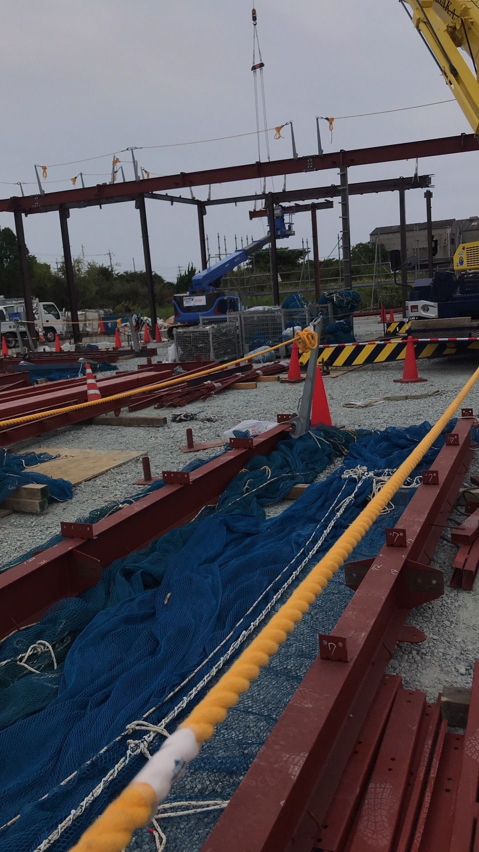 クスリのアオキ