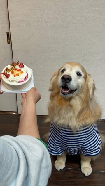 10歳のbirthday🎂